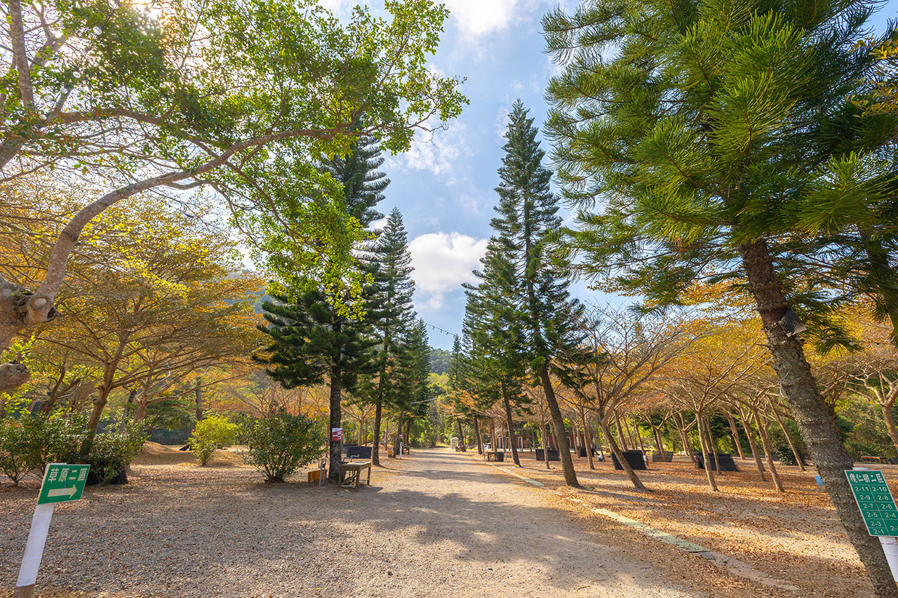 不遠山莊｜苗栗三義超美台灣合掌村，露營野奢營火烤肉聚餐，跳跳床、滑梯，超美鹿角咖啡吃喝玩樂一次滿足！2026苗栗景點推薦 225