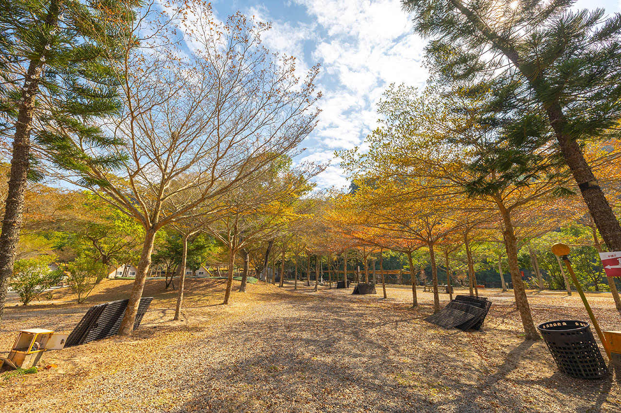 不遠山莊|苗栗三義超美台灣合掌村,露營野奢營火烤肉聚餐,跳跳床、滑梯,超美鹿角咖啡吃喝玩樂一次滿足!2026苗栗景點推薦 228 不遠山莊|苗栗三義超美台灣合掌村,露營野奢營火烤肉聚餐,跳跳床、滑梯,超美鹿角咖啡吃喝玩樂一次滿足!2026苗栗景點推薦 227