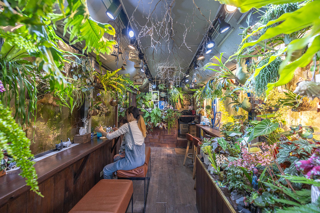 不遠山莊|苗栗三義超美台灣合掌村,露營野奢營火烤肉聚餐,跳跳床、滑梯,超美鹿角咖啡吃喝玩樂一次滿足!2026苗栗景點推薦 284 不遠山莊|苗栗三義超美台灣合掌村,露營野奢營火烤肉聚餐,跳跳床、滑梯,超美鹿角咖啡吃喝玩樂一次滿足!2026苗栗景點推薦 283