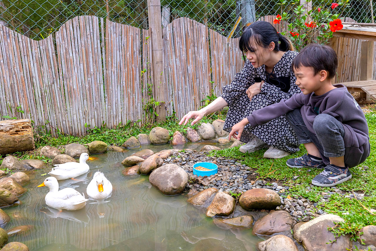 葉子祕境 森林villa住宿 4.9分超高評價,戲水泳池、高爾夫、桌遊,自然共舞南投五星級民宿,2026南投住宿推薦 967 葉子祕境 森林villa住宿 4.9分超高評價,戲水泳池、高爾夫、桌遊,自然共舞南投五星級民宿,2026南投住宿推薦 966