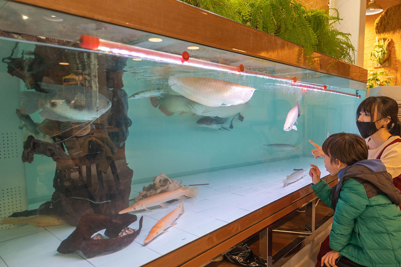 來馬食光|苗栗親子餐廳推薦,超豐盛南洋料理冬季限定鍋物,南洋甜點下午茶美食吃到爽,2026頭份火鍋推薦! 212 來馬食光|苗栗親子餐廳推薦,超豐盛南洋料理冬季限定鍋物,南洋甜點下午茶美食吃到爽,2026頭份火鍋推薦! 211