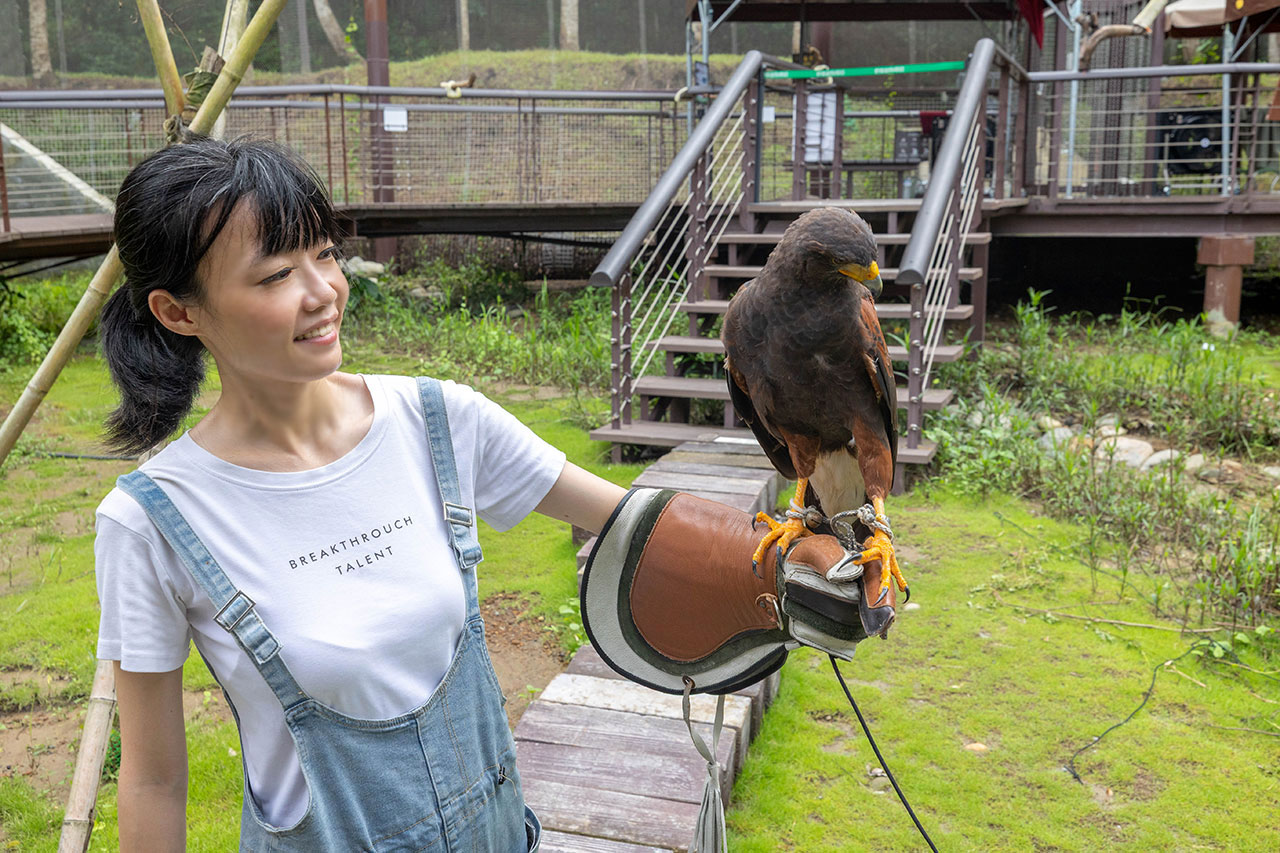 2026高雄親子景點推薦 野森動物學校|全台唯一狐狸谷能近距離互動的親子動物園,狐狸谷、沙丘部落、水豚森林,夏日優惠9/30前買大送小 54 2026高雄親子景點推薦 野森動物學校|全台唯一狐狸谷能近距離互動的親子動物園,狐狸谷、沙丘部落、水豚森林,夏日優惠9/30前買大送小 53