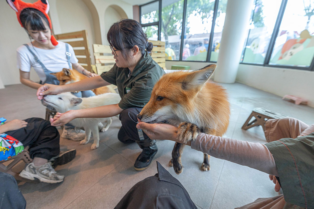 2026高雄親子景點推薦 野森動物學校|全台唯一狐狸谷能近距離互動的親子動物園,狐狸谷、沙丘部落、水豚森林,夏日優惠9/30前買大送小 60 2026高雄親子景點推薦 野森動物學校|全台唯一狐狸谷能近距離互動的親子動物園,狐狸谷、沙丘部落、水豚森林,夏日優惠9/30前買大送小 59