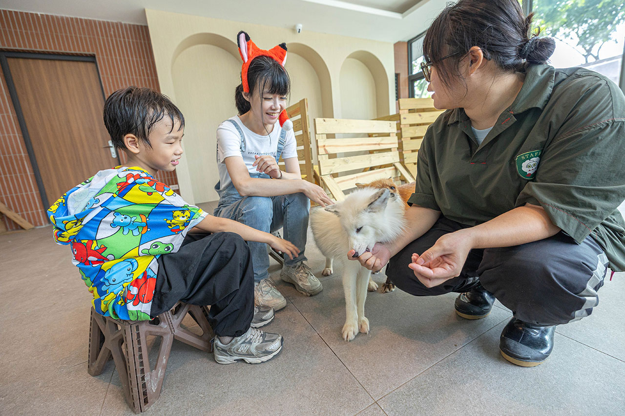 2026高雄親子景點推薦 野森動物學校|全台唯一狐狸谷能近距離互動的親子動物園,狐狸谷、沙丘部落、水豚森林,夏日優惠9/30前買大送小 56 2026高雄親子景點推薦 野森動物學校|全台唯一狐狸谷能近距離互動的親子動物園,狐狸谷、沙丘部落、水豚森林,夏日優惠9/30前買大送小 55