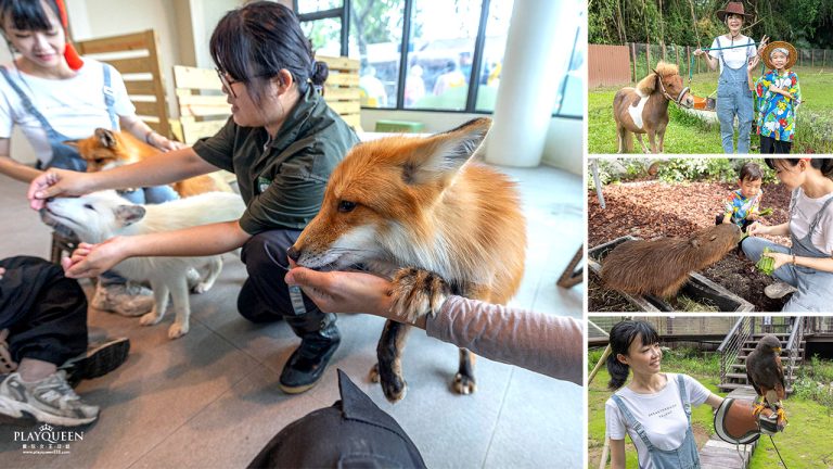 野森動物學校｜全台唯一狐狸谷能近距離互動的親子動物園，狐狸谷、沙丘部落、水豚森林，暑假優惠9/30前買大送小，最新2026高雄親子景點推薦