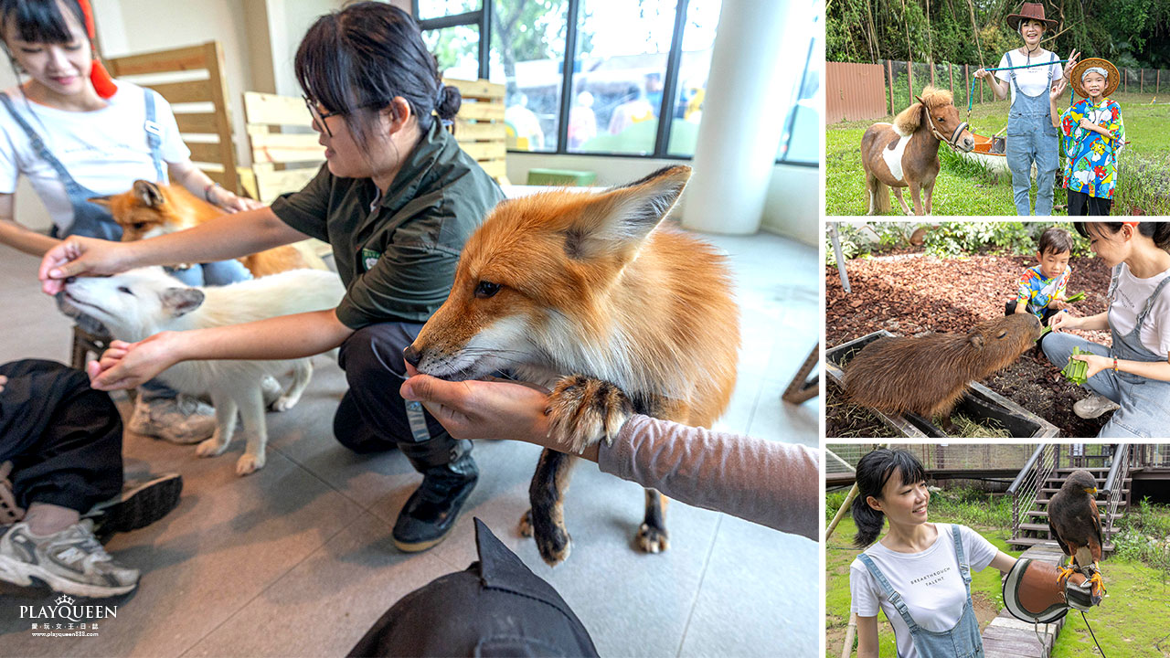 野森動物學校|全台唯一狐狸谷能近距離互動的親子動物園,狐狸谷、沙丘部落、水豚森林,暑假優惠9/30前買大送小,最新2026高雄親子景點推薦 野森動物學校|全台唯一狐狸谷能近距離互動的親子動物園,狐狸谷、沙丘部落、水豚森林,暑假優惠9/30前買大送小,最新2026高雄親子景點推薦